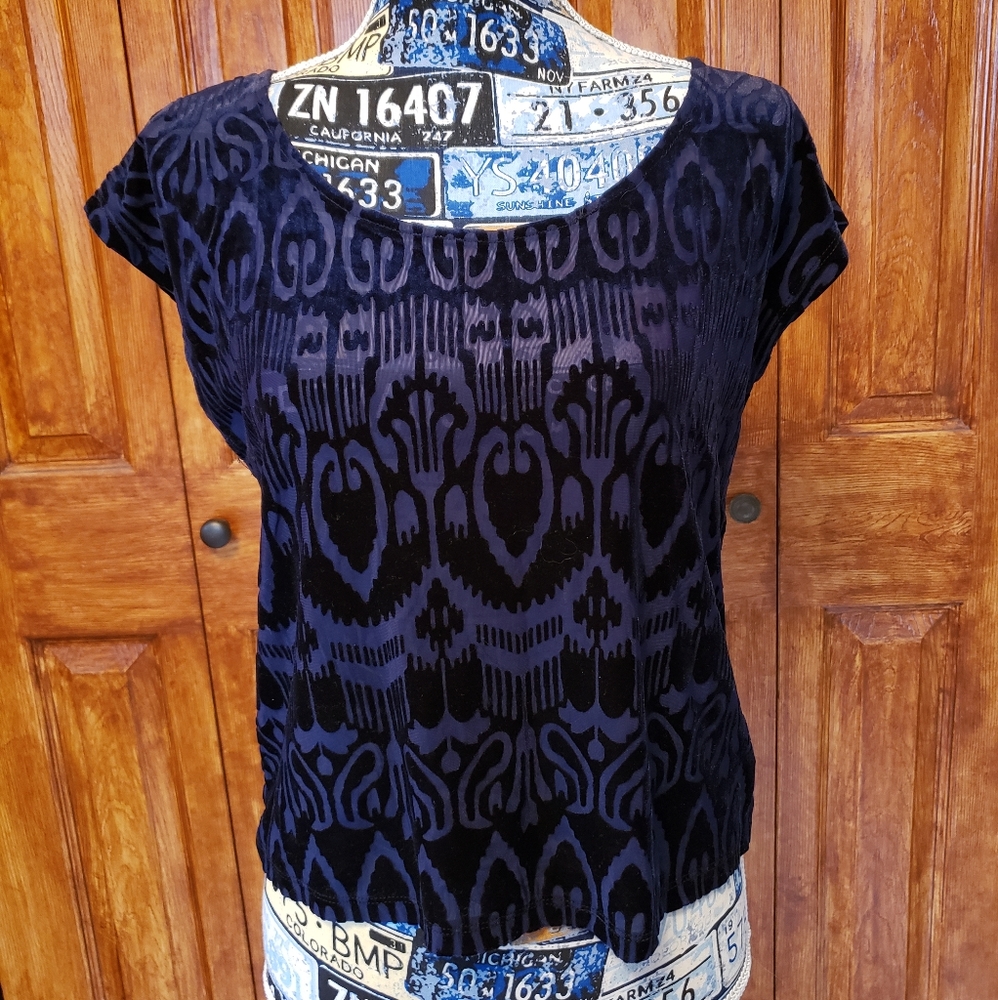 Velvet Crop Top
